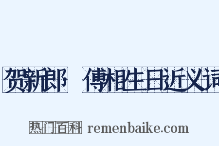 贺新郎·傅相生日近义词是什么意思的图片